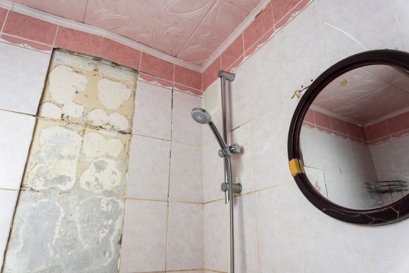 Shower Remodeling in Larkspur, CO